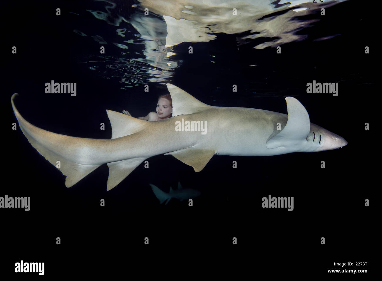 Junge schöne Frau schwimmt in der Nacht mit einem Hai - Tawny Ammenhaie (Nebrius Ferrugineus), Indischer Ozean, Malediven Stockfoto