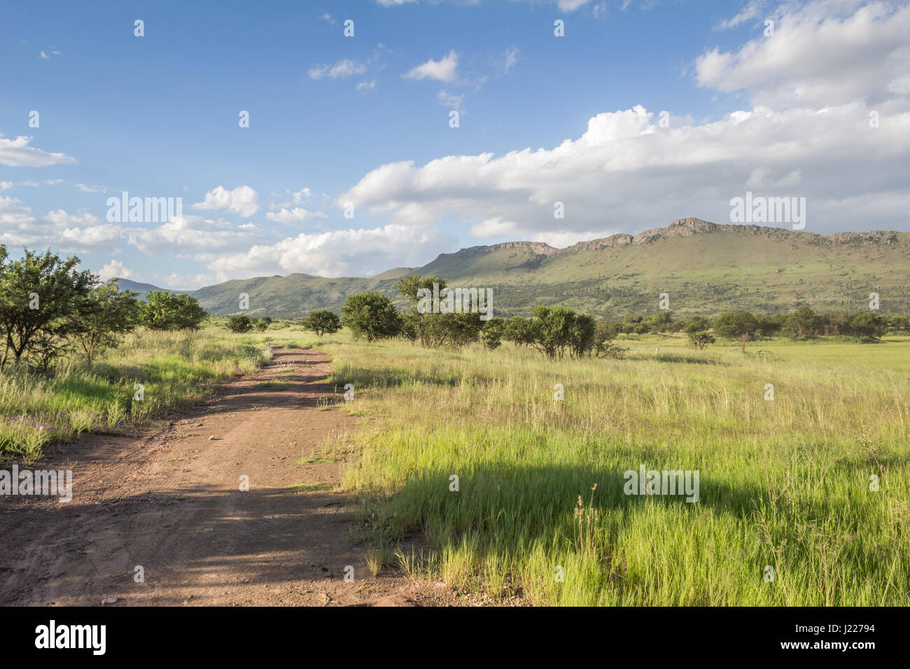 Lange Schatten am späten Nachmittag Sonne über grüne Wiese neben bewölkt Bergkette in der afrikanischen Natur reservieren - Foto Stockfoto