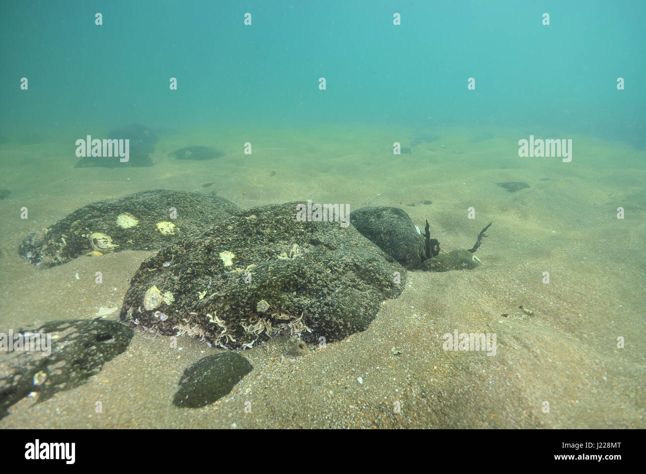 Flachboden mit hellen Sand und Geröll aus dunklem vulkanischem Gestein bedeckt. Stockfoto