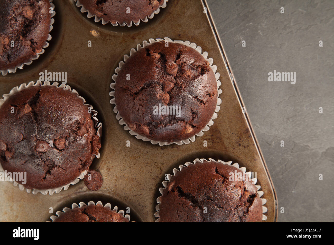 Double Chocolate Muffins auf ein Backblech Stockfoto