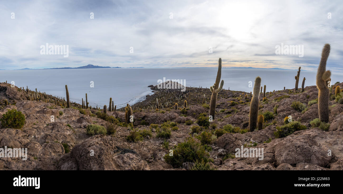 Panoramablick über Incahuasi Kaktus Insel im Salar de Uyuni Salz flach - Abteilung Potosi, Bolivien Stockfoto