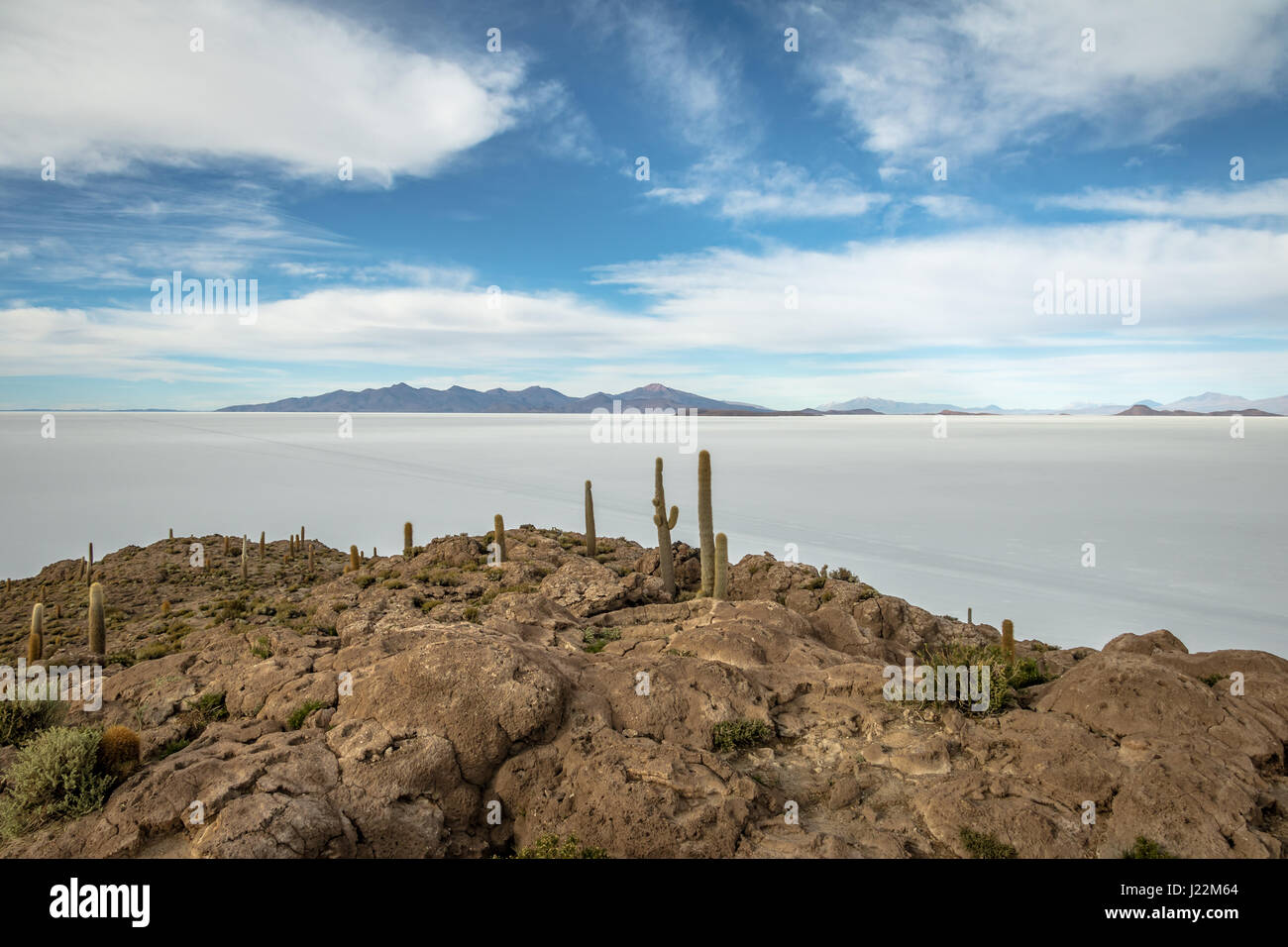 Incahuasi Kaktus Insel im Salar de Uyuni Salz flach - Abteilung Potosi, Bolivien Stockfoto