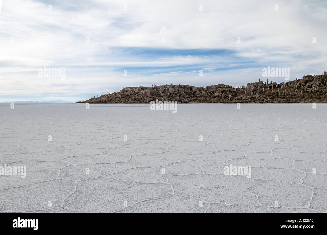 Salar de Uyuni Salz flach und Incahuasi Kaktus Insel - Abteilung Potosi, Bolivien Stockfoto