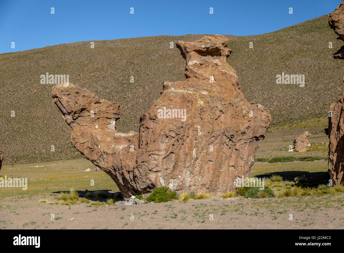 Kamel Felsformation in Italia Perdida Bolivean Altiplano - Abteilung Potosi, Bolivien Stockfoto