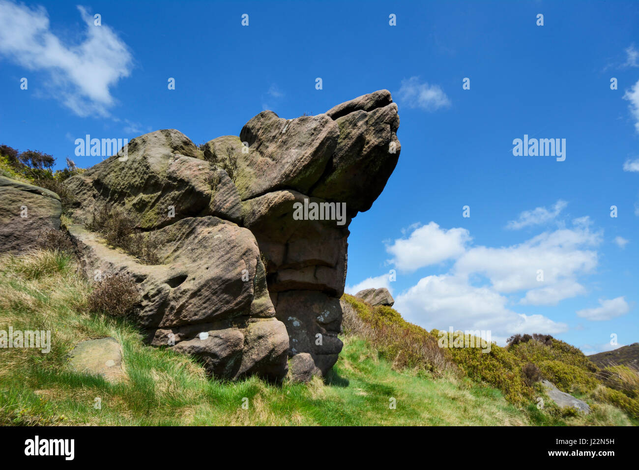 Glatze Steinen, sedimentär Gritstone in Staffordshire. Stockfoto