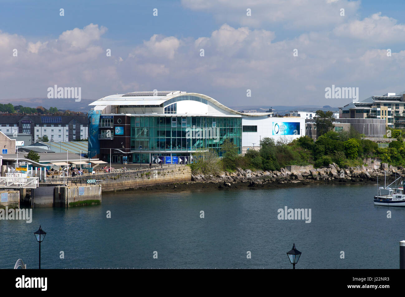 Das National Marine Aquarium, Plymouth, UK Stockfoto
