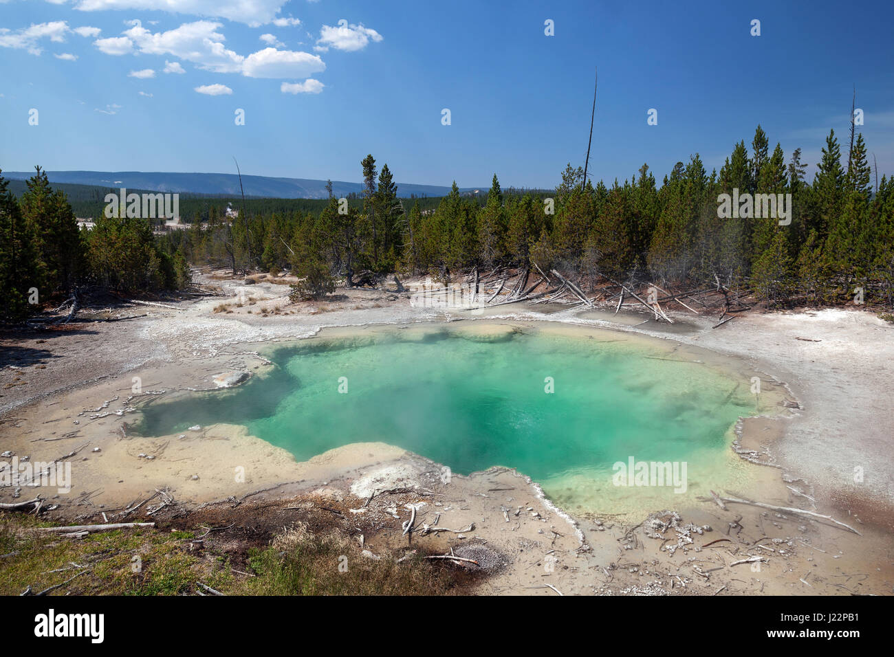 Emerald Frühling, Rücken-Becken, Norris Geyser Basin, Yellowstone-Nationalpark, Wyoming, USA Stockfoto