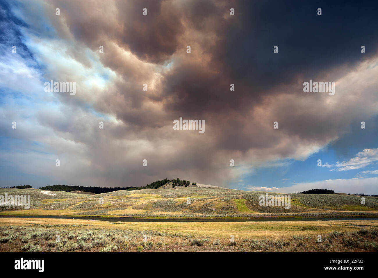 Rauch, Wolken, Waldbrand, Yellowstone-Nationalpark, Wyoming, USA Stockfoto