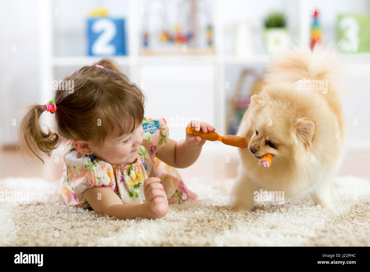 Niedliche kleine Mädchen ist Wurst zu ihrem Hund füttern. Stockfoto