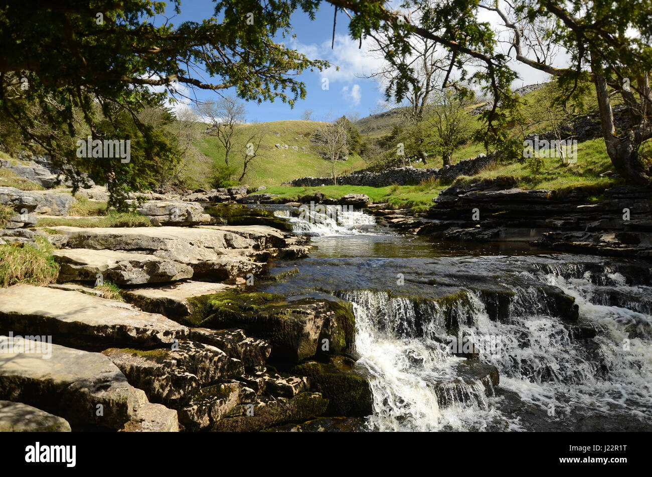 Ingleton Wasserfälle, Fluß Twiss, North Yorkshire. UK Stockfoto