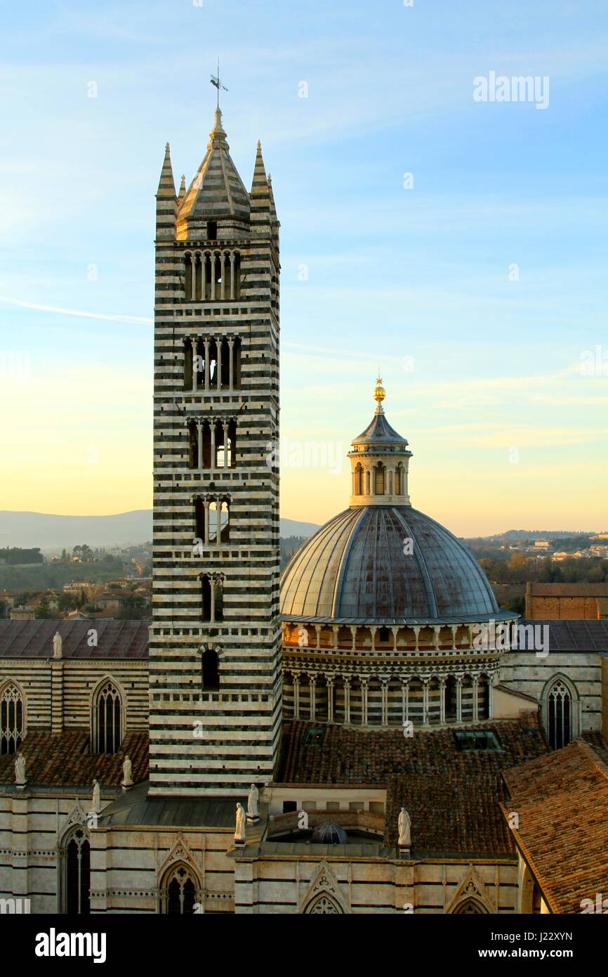 Siena Dom, Siena, Toskana, Italien, Europa Stockfoto