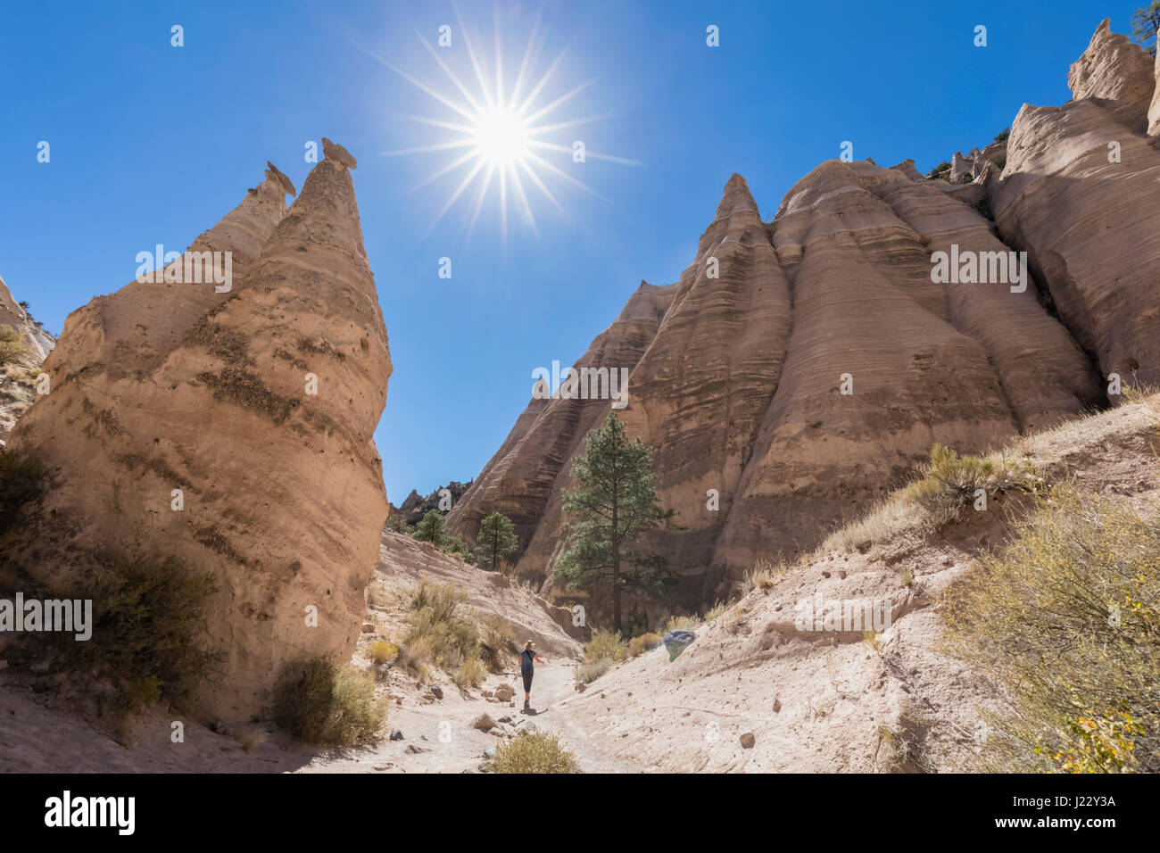 USA, New Mexico, Pajarito Plateau, Sandoval County, Kasha-Katuwe Zelt Rocks National Monument, desert Valley mit bizarren Felsformationen Stockfoto