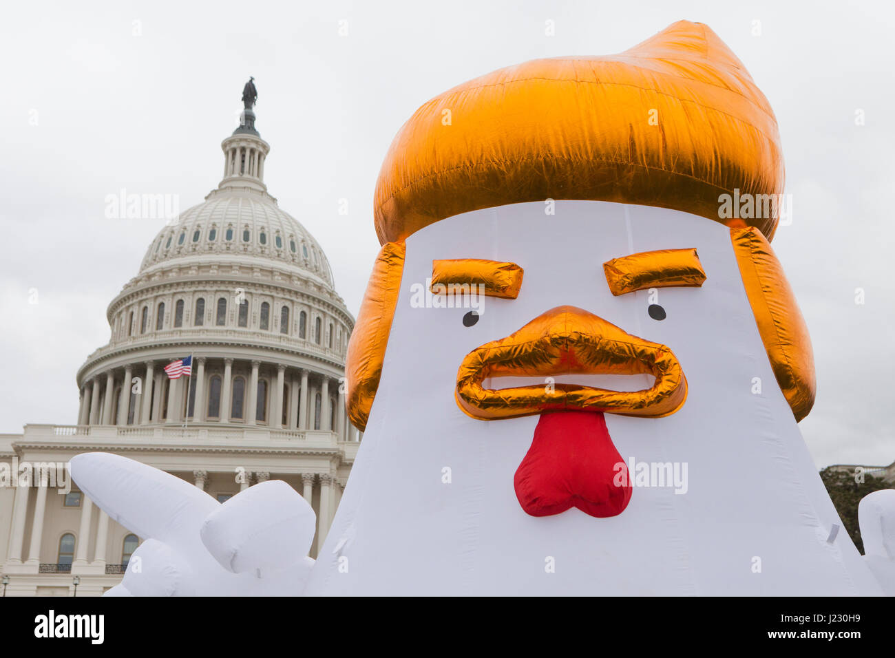 Trump Huhn bei Protestkundgebung - Washington, DC USA Stockfoto