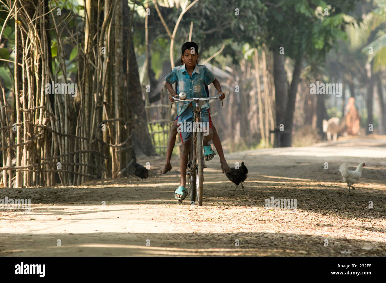 Ein ländlicher junge fährt Fahrrad in der Feldweg in Jessore, Bangladesch. Stockfoto