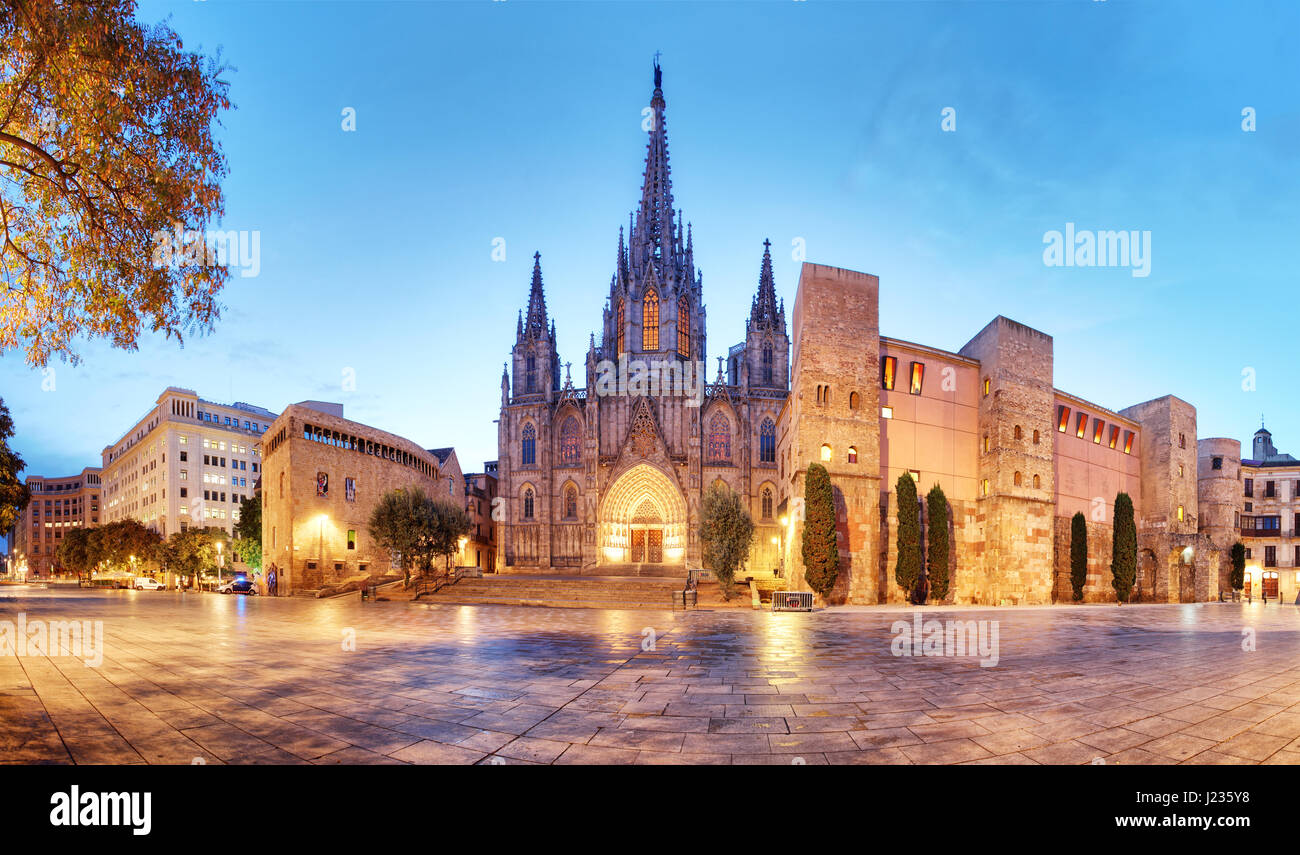 Barcelona, Panorama des Doms, Barri Gothic Quarter Stockfoto