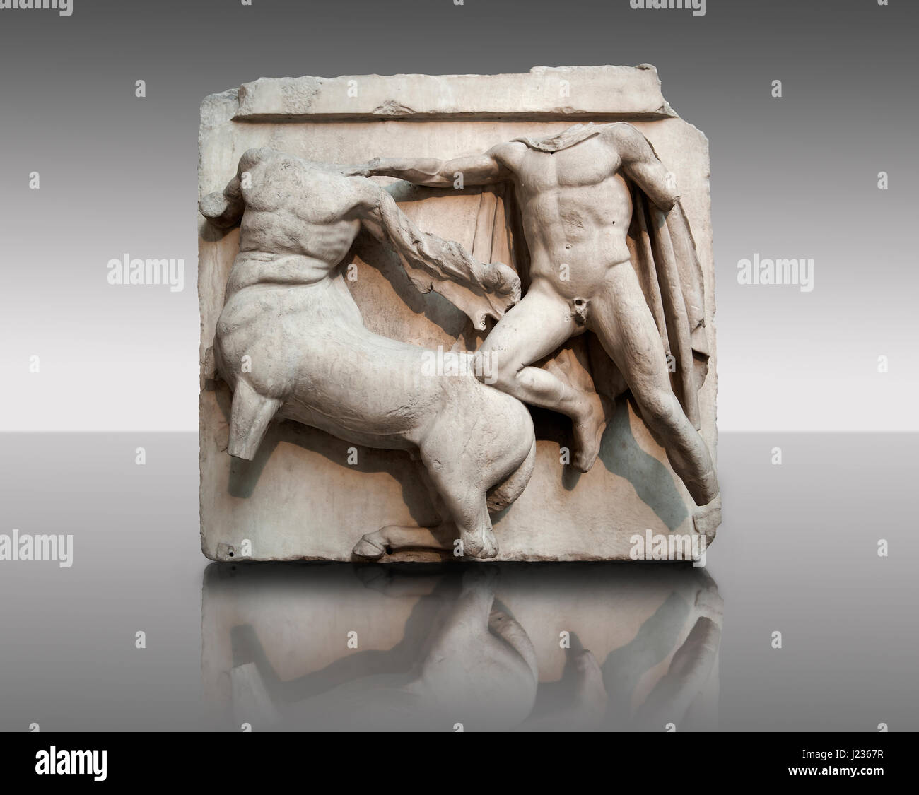 Skulptur von Lapiths und Zentauren kämpfen aus der Metope des Parthenon auf der Akropolis von Athen Nr. III. Auch bekannt als die Elgin Marbles. Briti Stockfoto