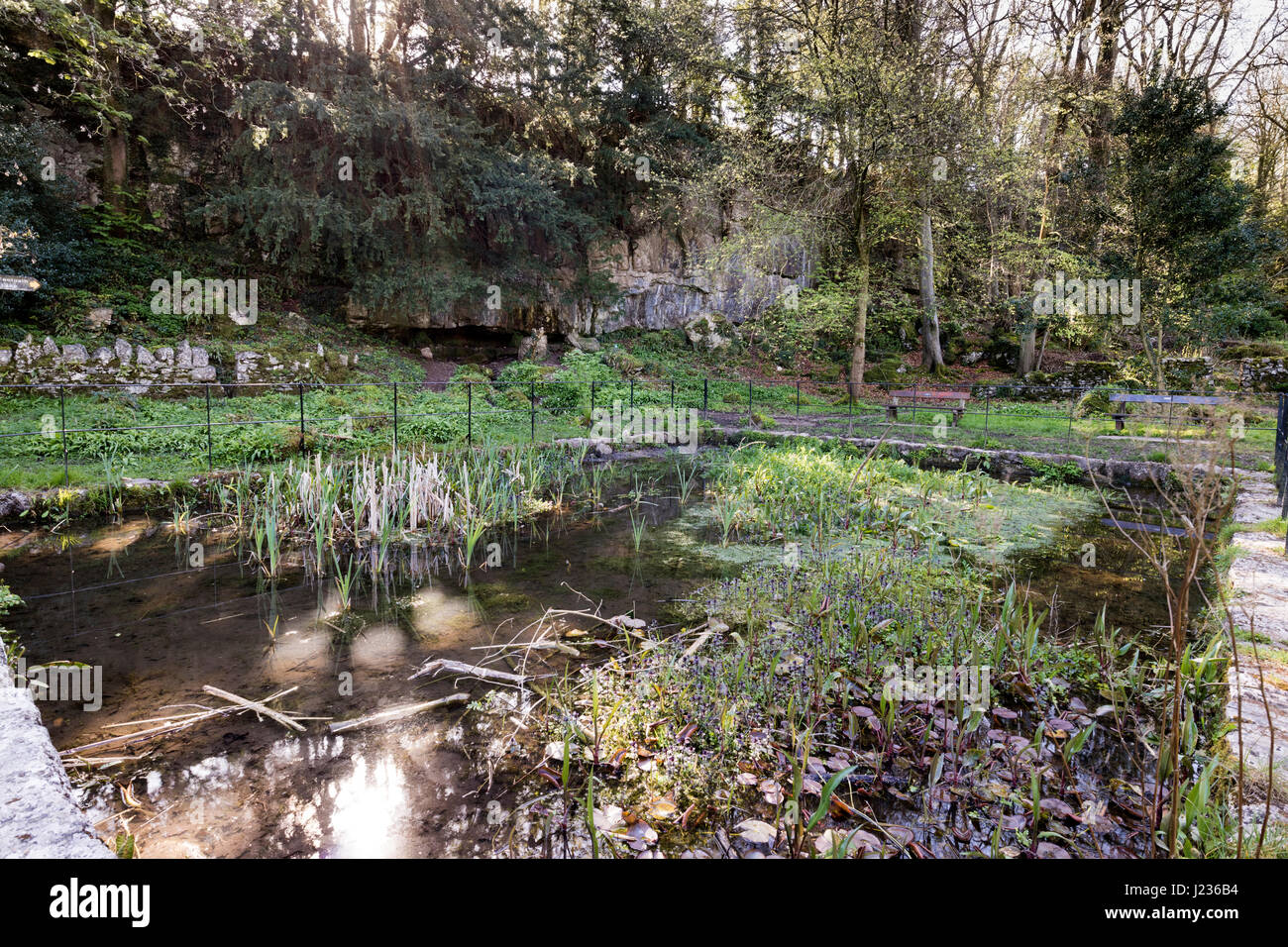 Teich bei Woodwell, Silverdale, Lancashire, England, UK Stockfoto