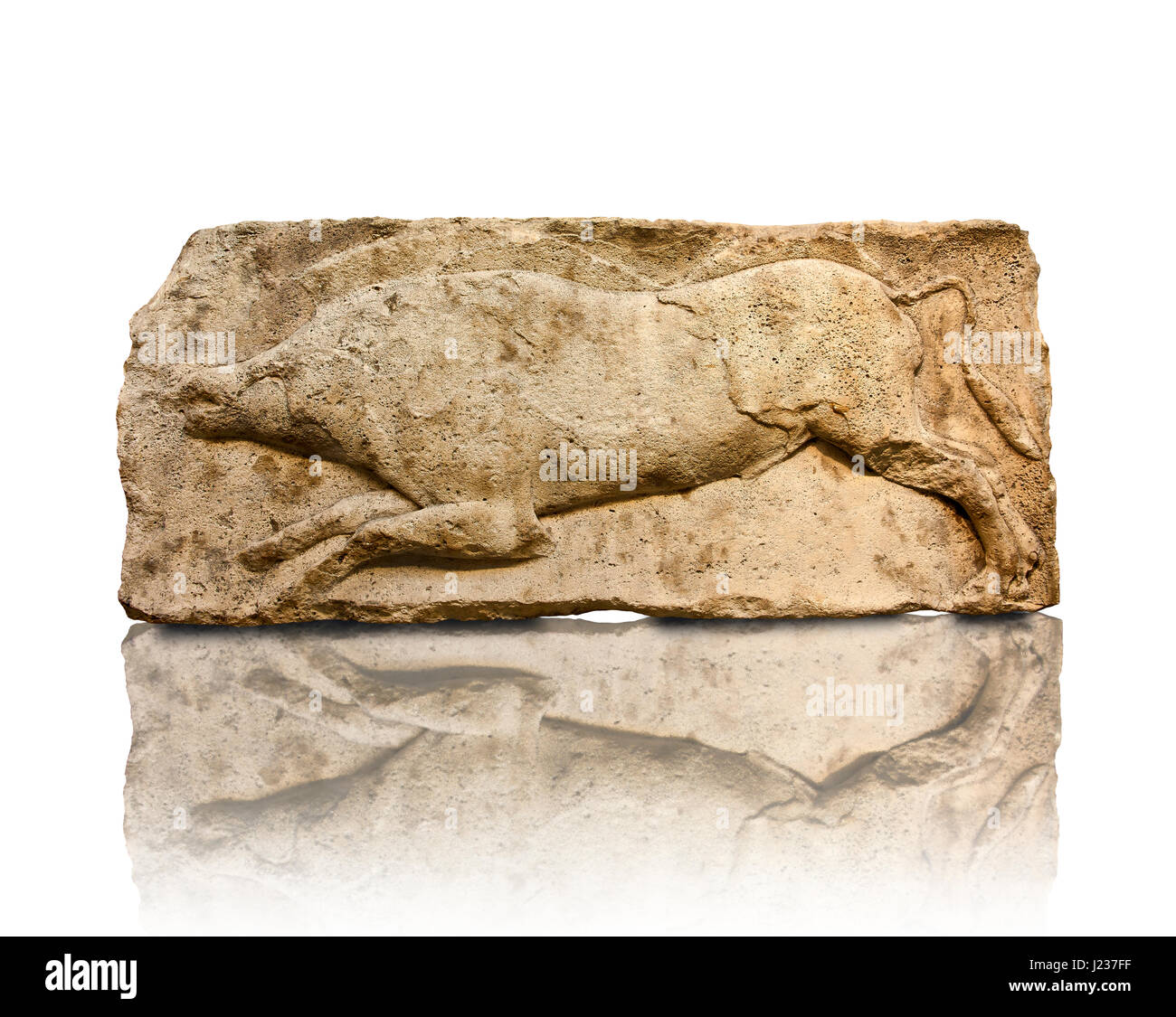 Wildschwein aus der "Satyr Tierjagd Wils, friert, 460 v. Chr.  Von Xanthos, UNESCO-Weltkulturerbe, Süd-west-Türkei. Ein British Museum-Ausst Stockfoto