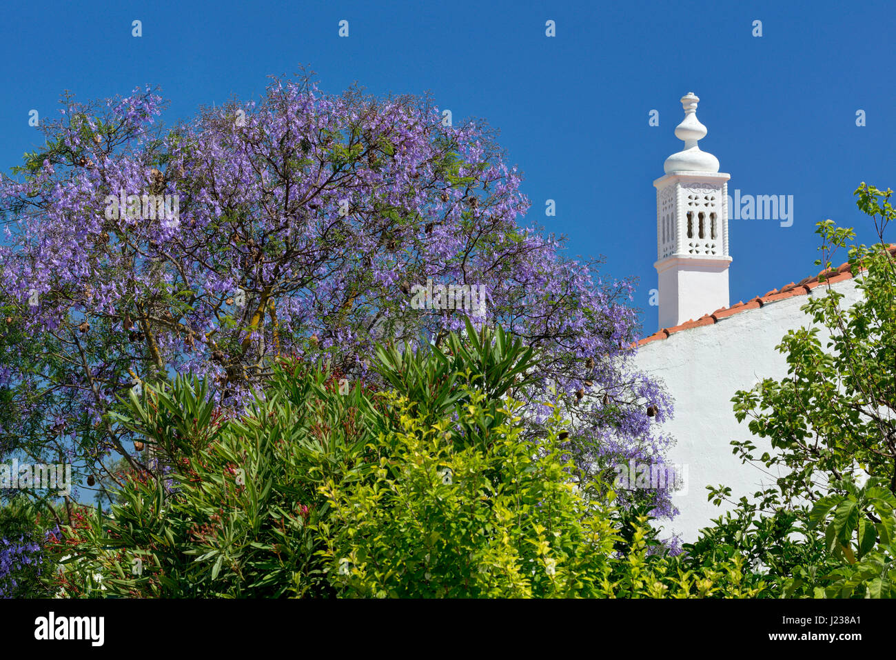 Portugal, Algarve, eine typische Algarve-Schornstein und Jacaranda-Baum Stockfoto