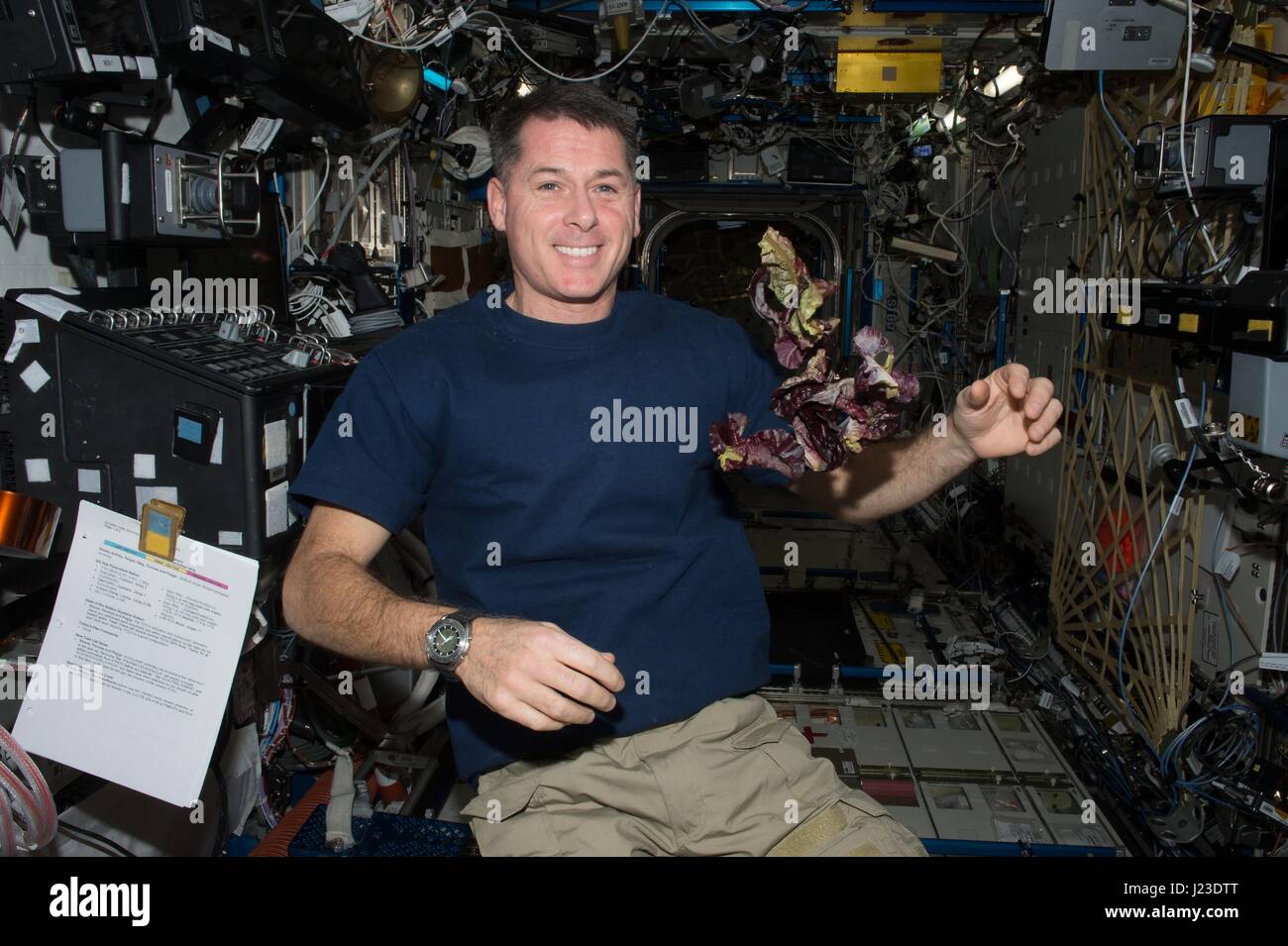 NASA-Expedition 50 erstklassige Besatzung Astronaut schwebt amerikanischen Shane Kimbrough neben Kopfsalat angebaut an Bord der internationalen Raumstation ISS 30. Dezember 2016 in der Erdumlaufbahn.    (Foto von der NASA über Planetpix) Stockfoto
