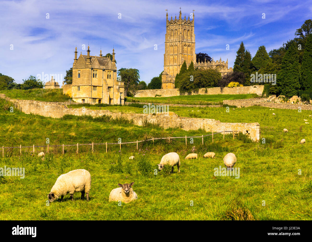 Chipping Campden Church über die Wiese mit Schafen in der alten Stadt Cotswold, Großbritannien Stockfoto