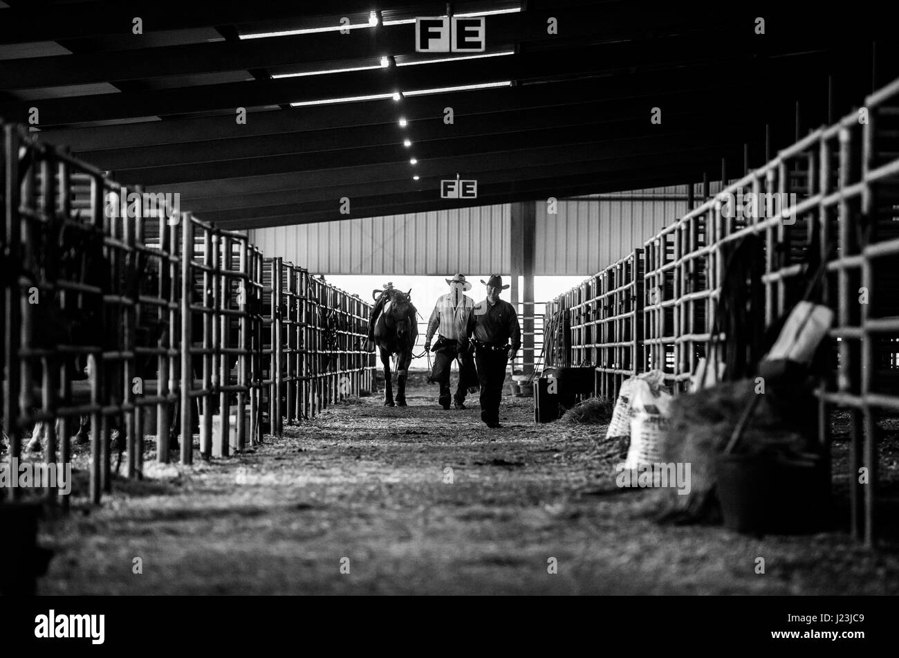 Salado, Texas, USA. Cowboy beritten schießenden Ereignis Texas. Fahrer-Silhouette vor dem Wettkampf während der Aufwärmphase. Stockfoto