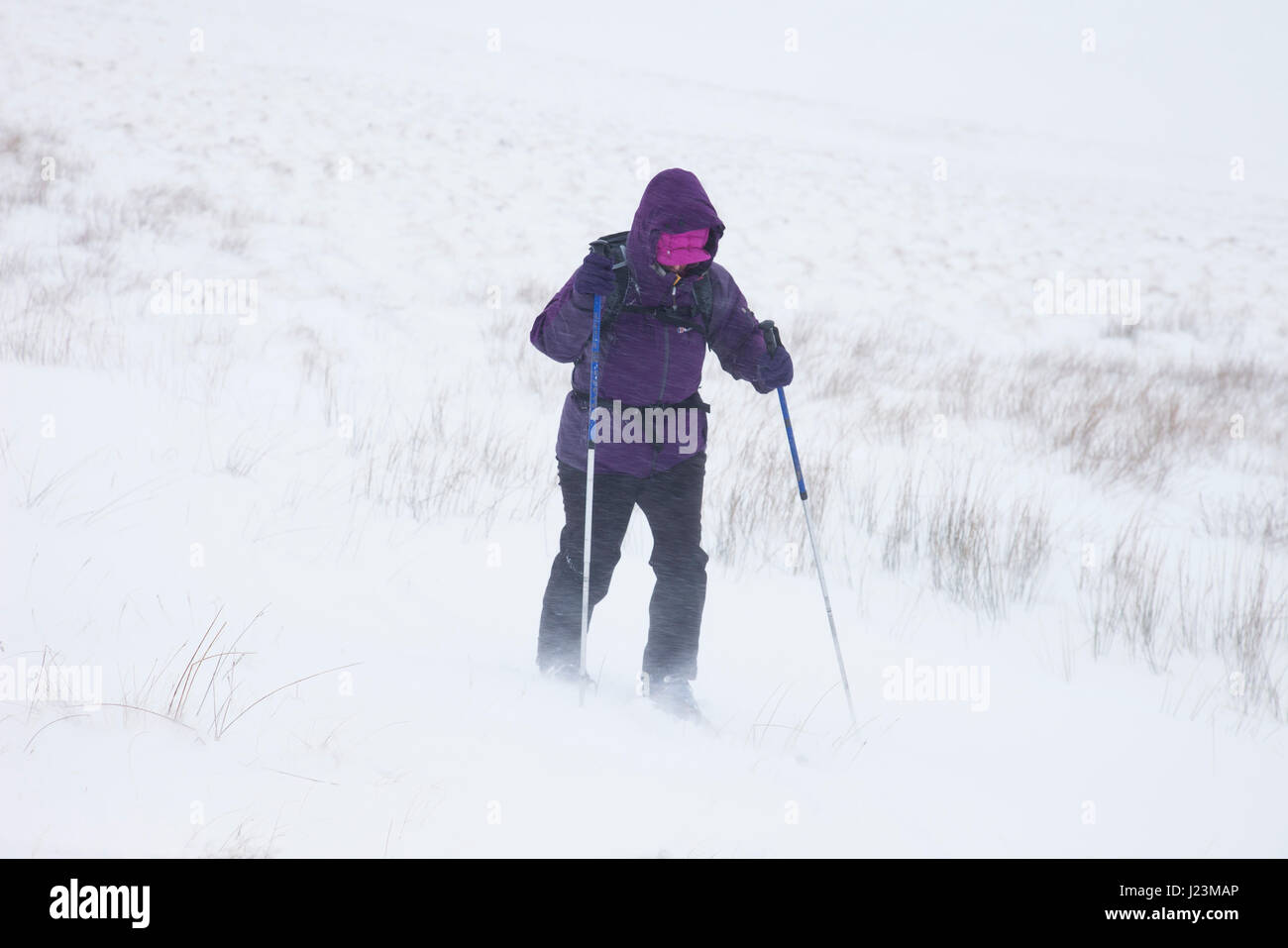 Skitouren im Blizzard-Bedingungen in den North Pennines, Burnhope Sitz, Cumbria UK Stockfoto