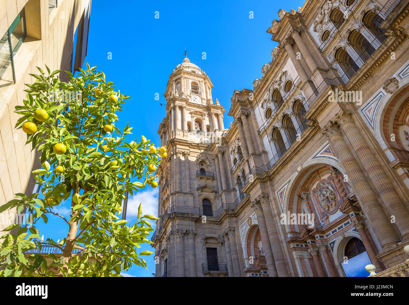 Glockenturm und reich verzierte Fassade der Kathedrale von Malaga. Andalusien, Spanien Stockfoto