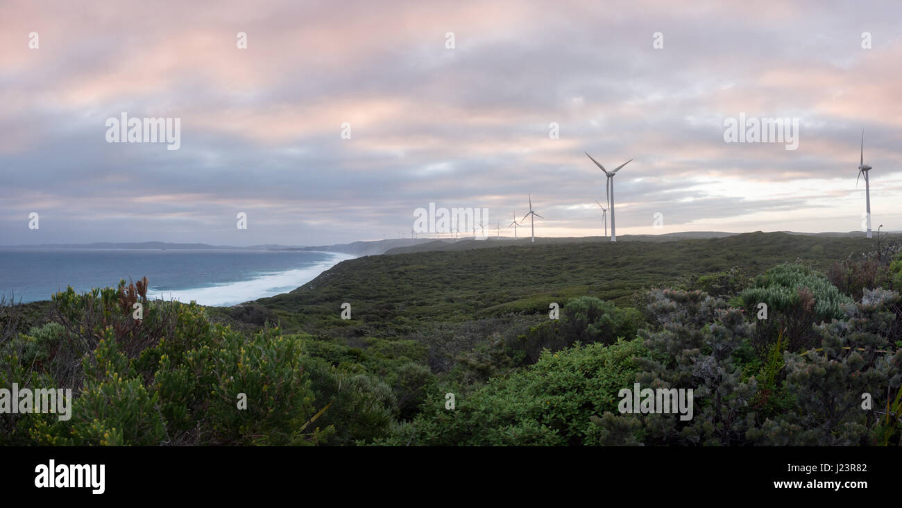 Albany-Windpark bei Sonnenuntergang, Western Australia Stockfoto