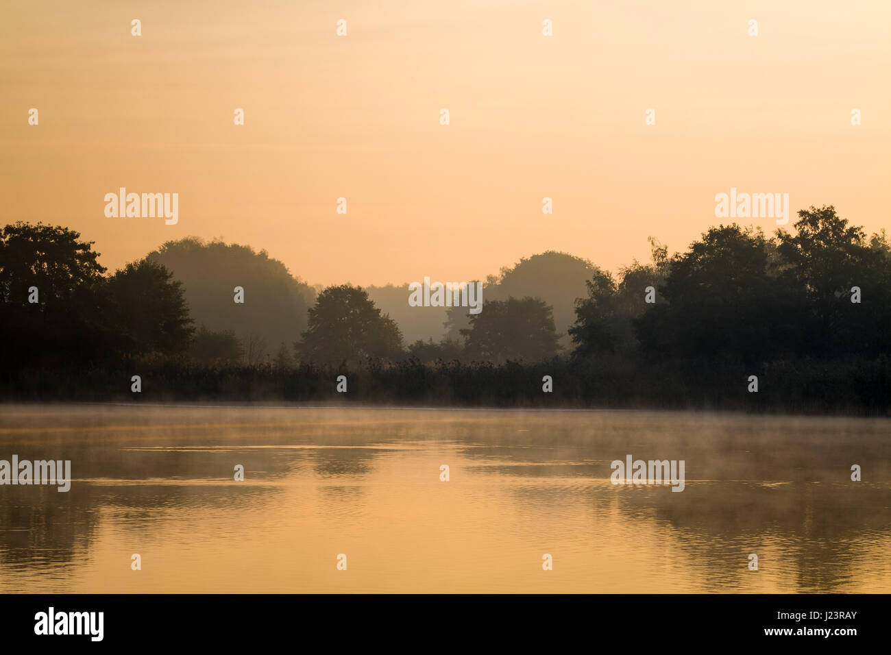 Morgennebel über dem See. Stockfoto