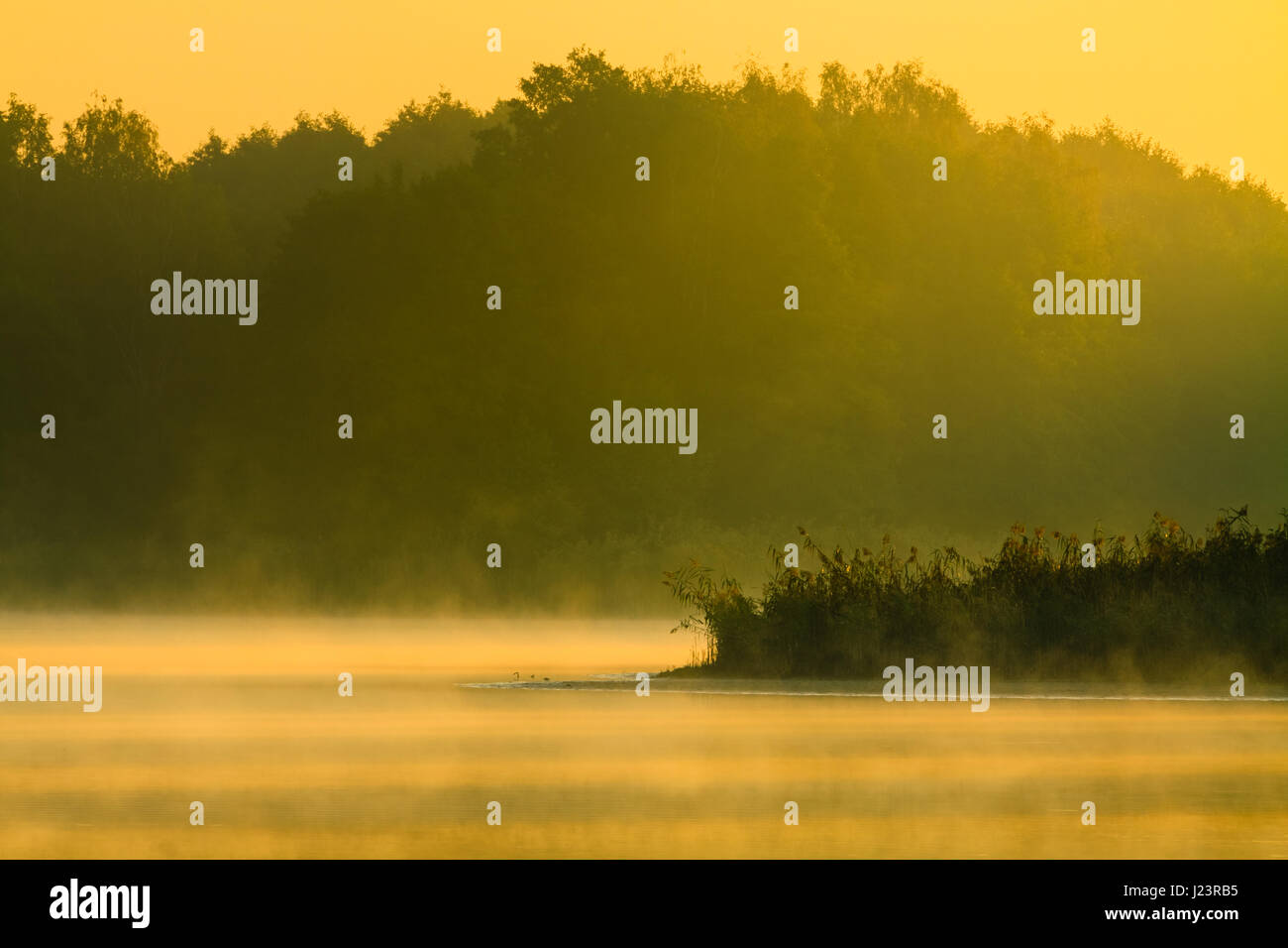 Morgennebel über dem See. Stockfoto