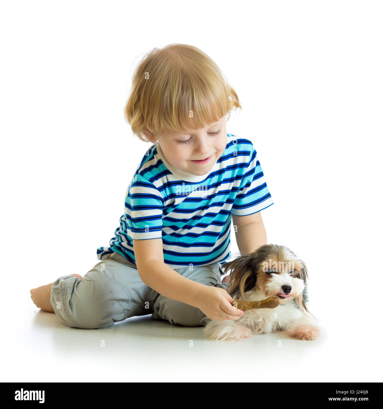 Kind füttert Hund Welpe isoliert auf weißem Hintergrund Stockfoto