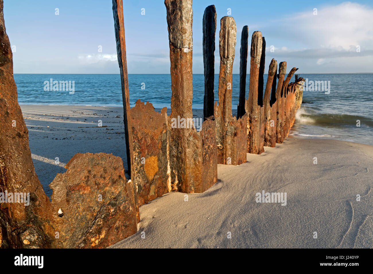Leiste am westlichen Strand, Insel Sylt, Nordsee, Schleswig-Holstein, Deutschland Stockfoto
