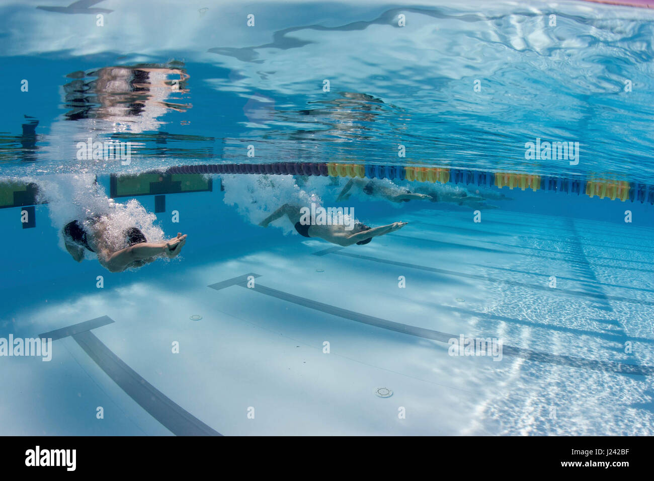 Kollegialen Wettbewerb während der 2006 Orange Schüssel schwimmen Classic Stockfoto