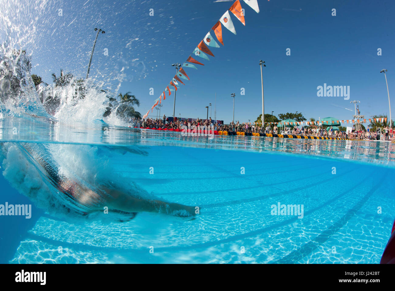 Schwimmer antreten in der Orange Bowl Swim Classic Stockfoto