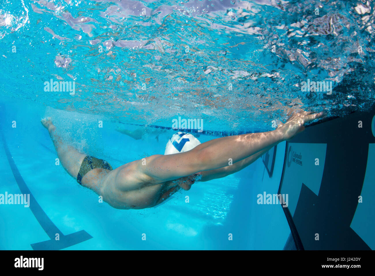 Orange Schüssel schwimmen Classic Stockfoto