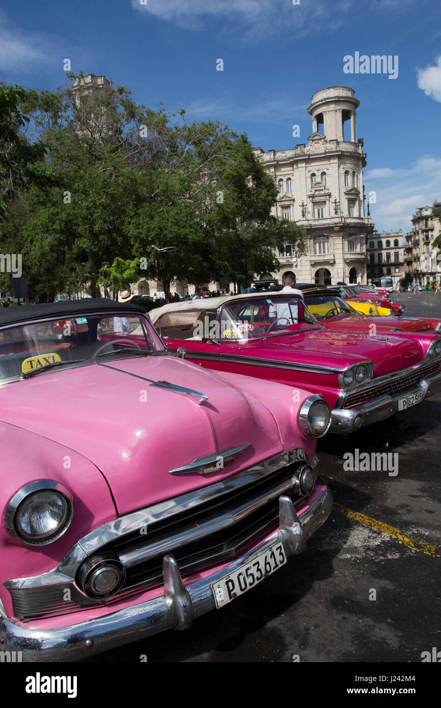Klassische amerikanische Autos als Taxis in Havanna genutzt. Stockfoto