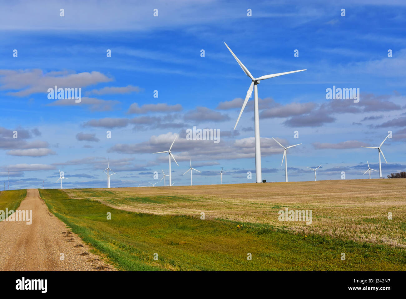 Windkraftanlagen produzieren saubere, erneuerbare Energie in North Dakota. Stockfoto