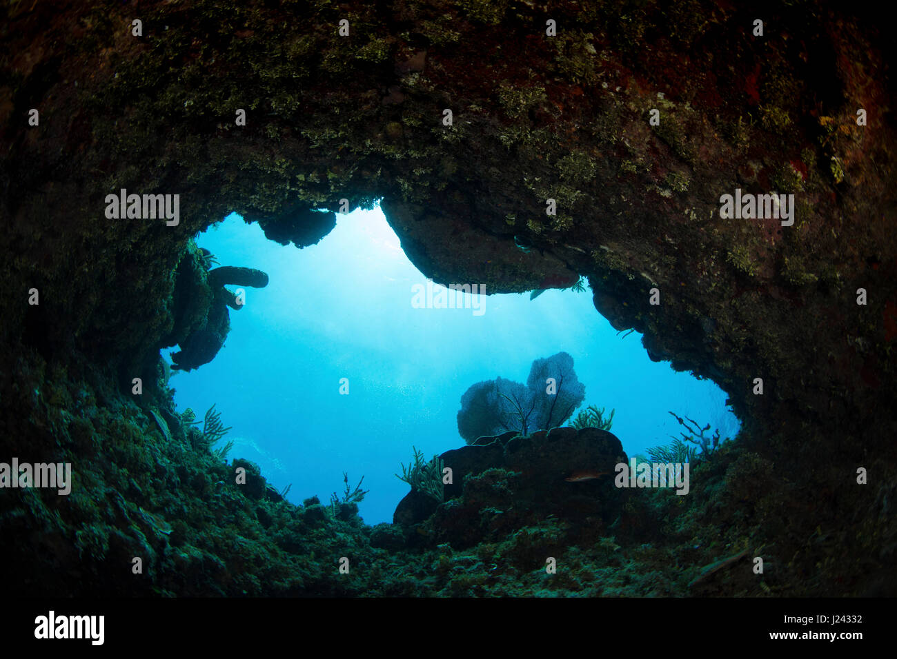 Eröffnung im Korallenriff bedeutet Mannes Erkundung der Unterwasserwelt. Stockfoto