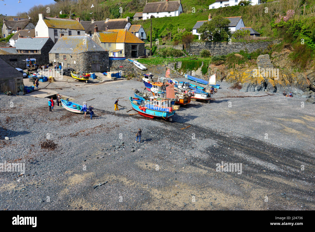 Fischer schleppen - Fischen Boot und seine Angeln Aufholen der Kiesstrand in einer Cornish angeln Cove. Cadgwith, Lizard Halbinsel, Cornwall, Großbritannien Stockfoto