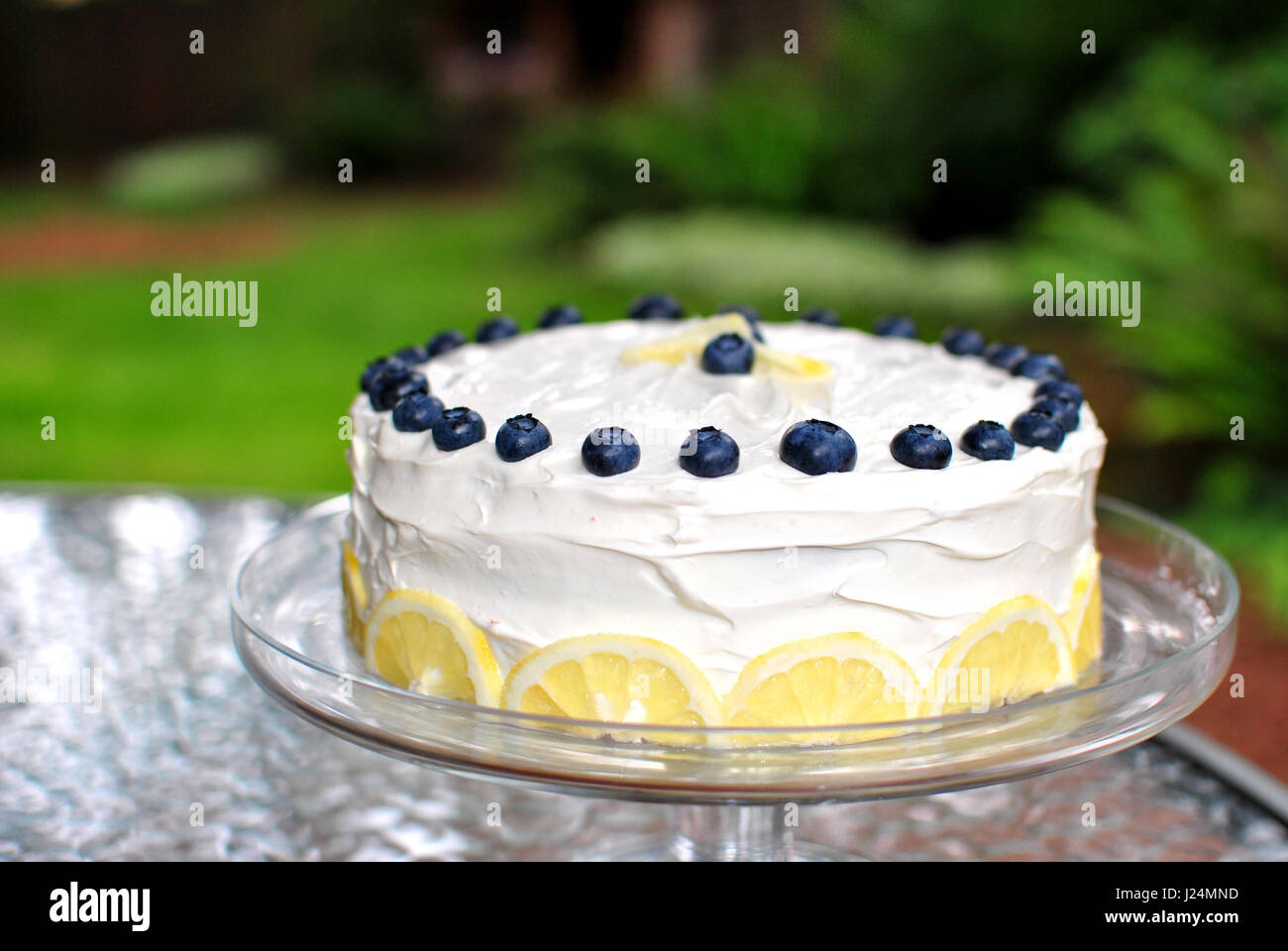 Blueberry Zitronenkuchen Stockfoto