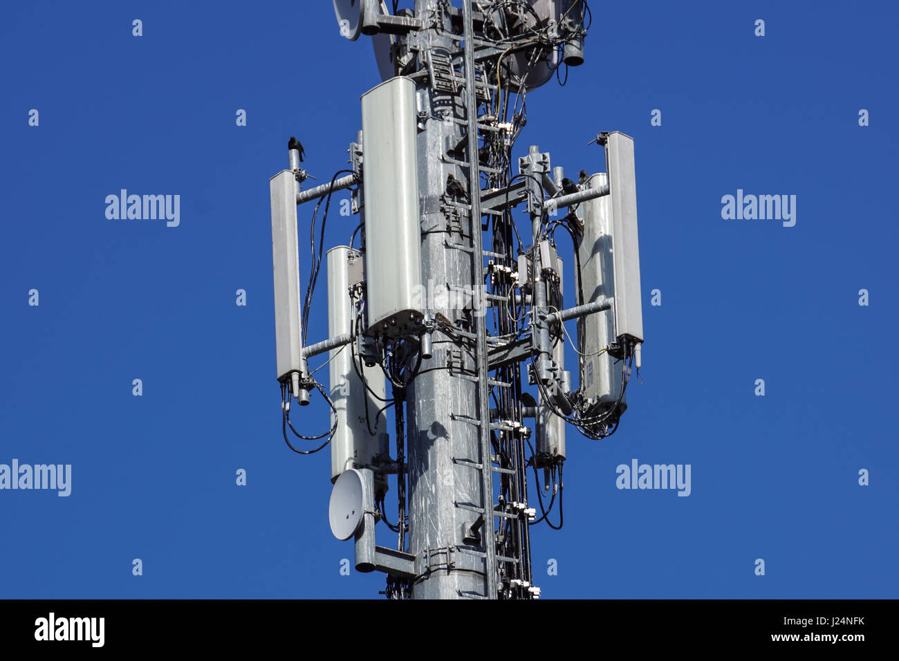 Telekommunikation Turm Antenne Zellen für die mobile Kommunikation. Stockfoto