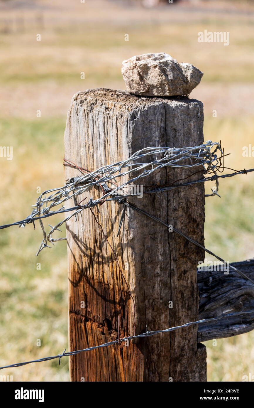 Hölzerner Zaunpfahl und Stacheldraht; Vandaveer Ranch; Salida; Colorado; USA Stockfoto