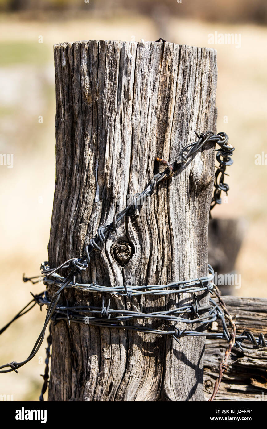 Hölzerner Zaunpfahl und Stacheldraht; Vandaveer Ranch; Salida; Colorado; USA Stockfoto