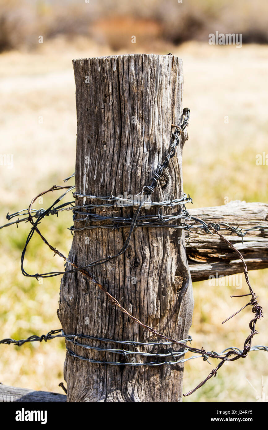 Hölzerner Zaunpfahl und Stacheldraht; Vandaveer Ranch; Salida; Colorado; USA Stockfoto