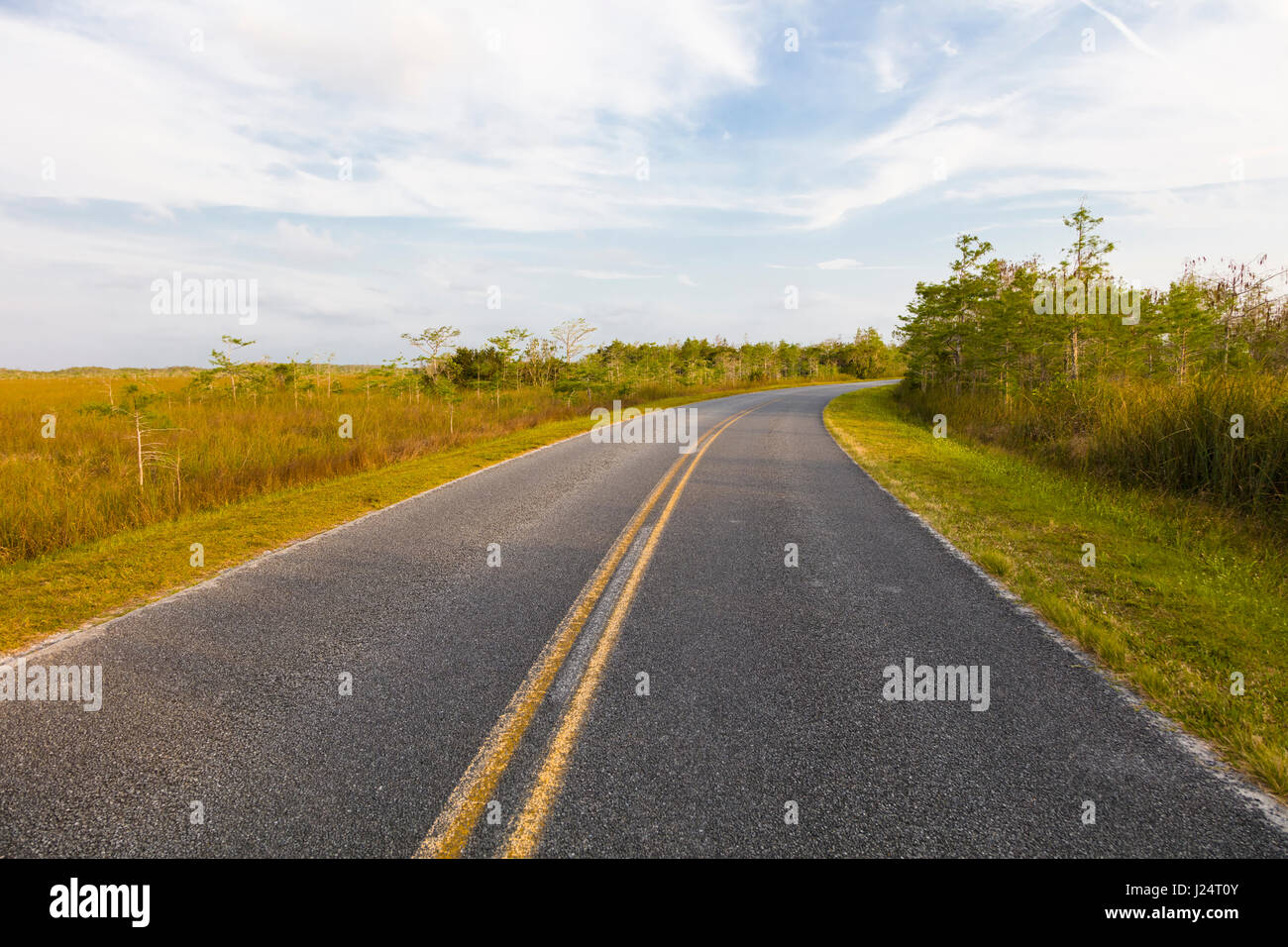 Hauptstraße obwohl Everglades National Park ein UNESCO-Weltkulturerbe in Süd Florida, USA Stockfoto