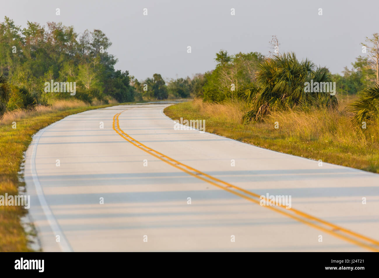 Hauptstraße obwohl Everglades National Park ein UNESCO-Weltkulturerbe in Süd Florida, USA Stockfoto