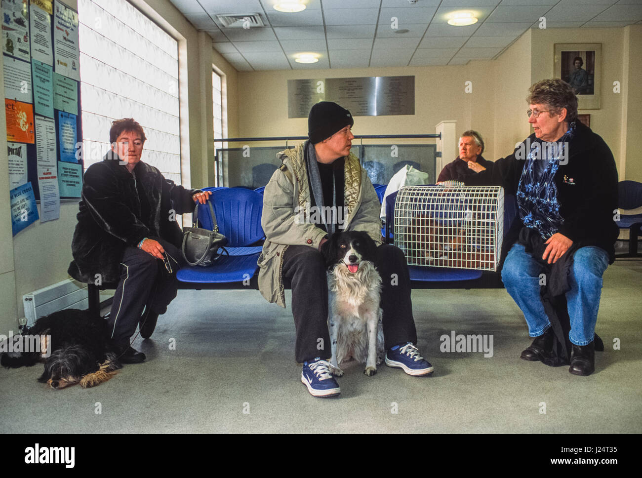 Tierhalter in den Warteraum im blauen Kreuz Animal Hospital, Victoria, London, Vereinigtes Königreich Stockfoto