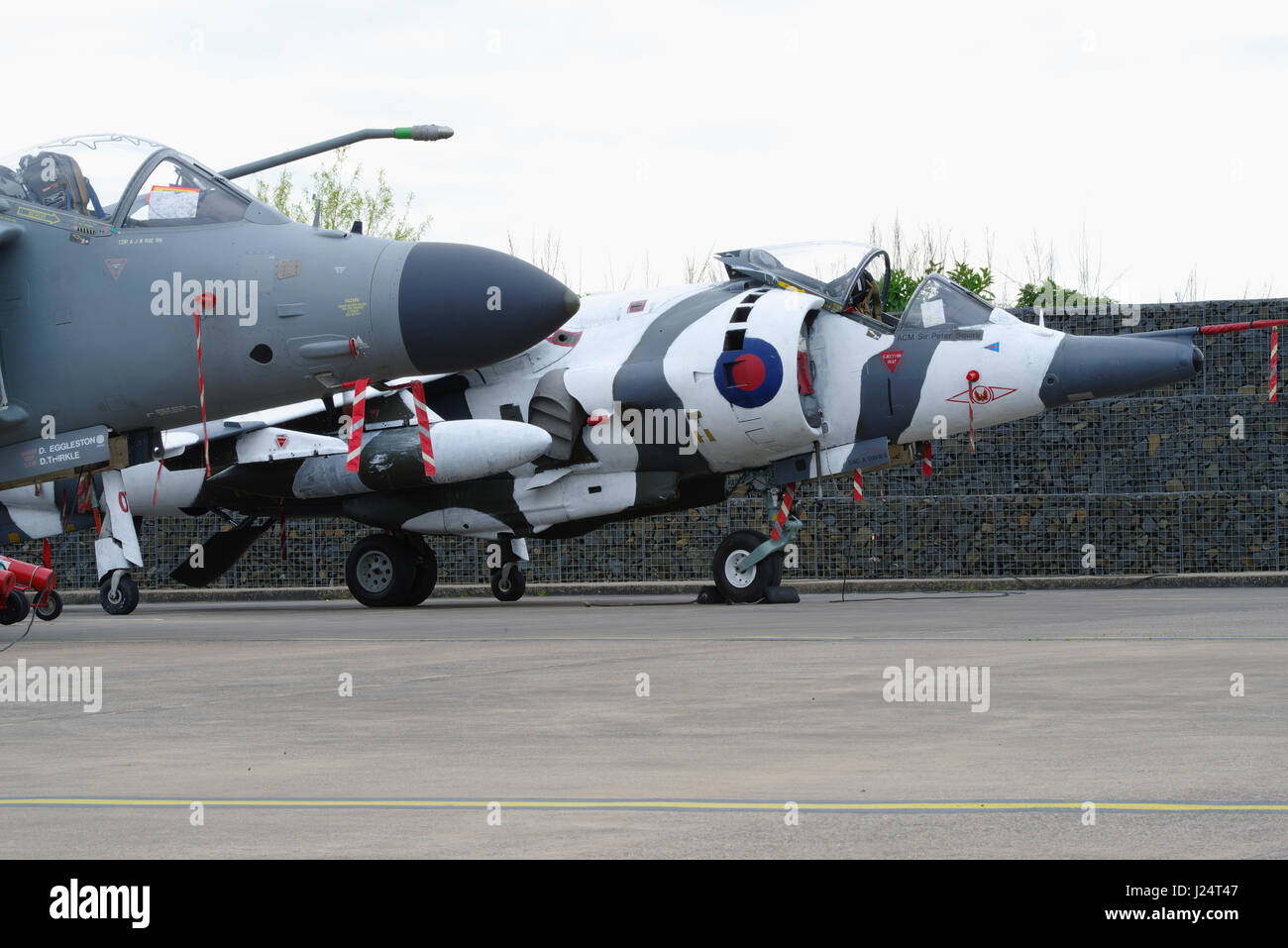 Harrier bei RAF Cosford, Stockfoto