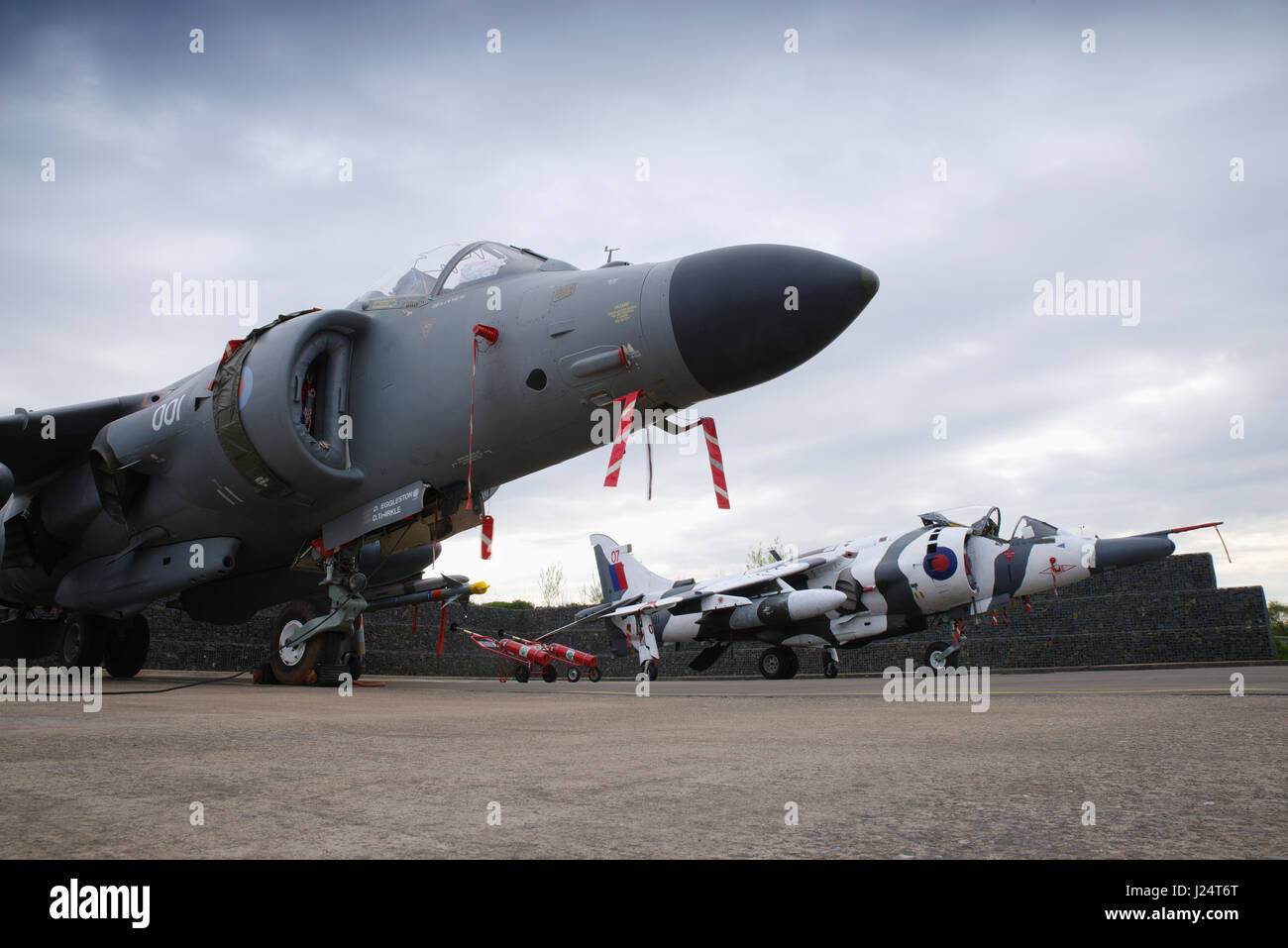 Harrier bei RAF Cosford, Stockfoto